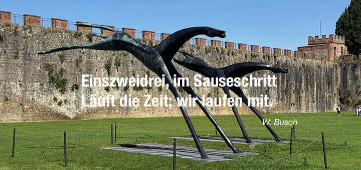 Buch